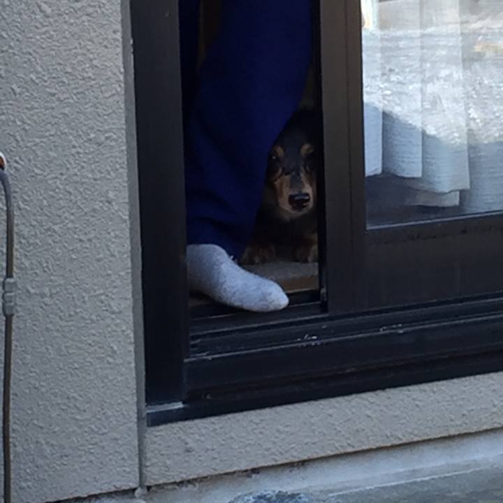 2012705c f8d1 4ad8 919b d5c3d5c1d5e4