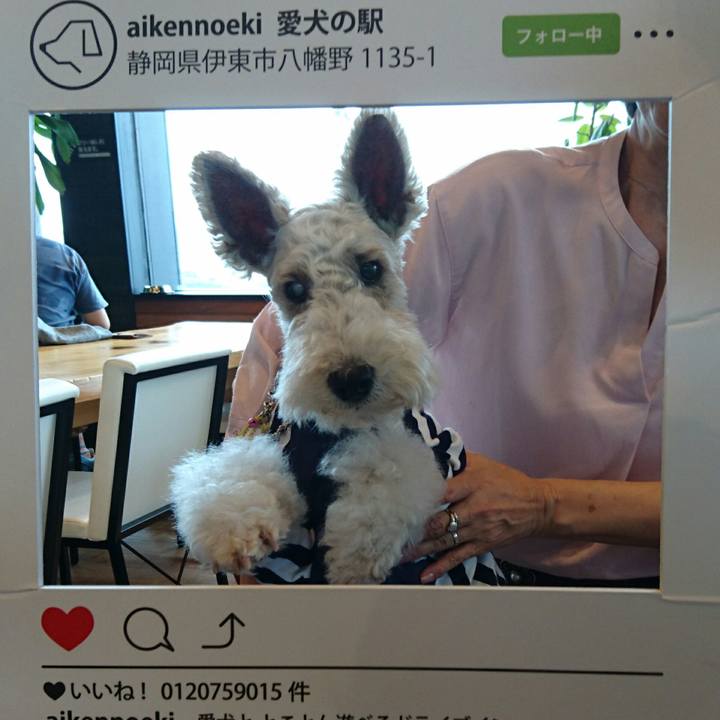 20129941 adf9 4d52 84c9 7e104658d992