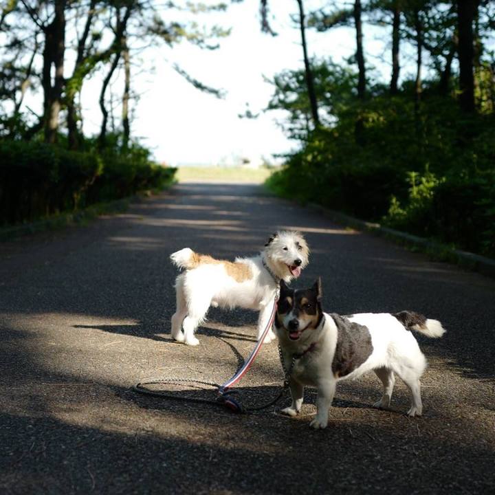 20132dbb 6061 4cee 9cbe 74406bb8eeef