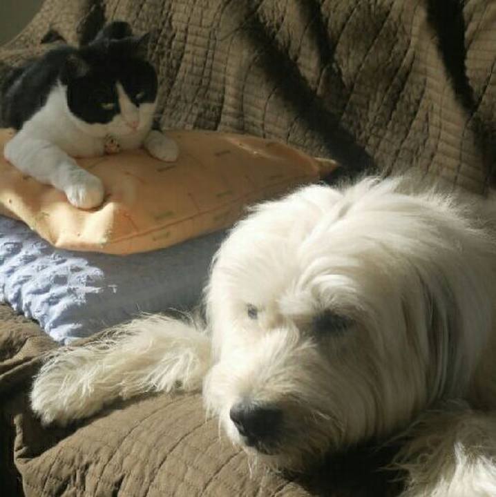 20142e0f b885 4c3e 8a97 0796ea603376