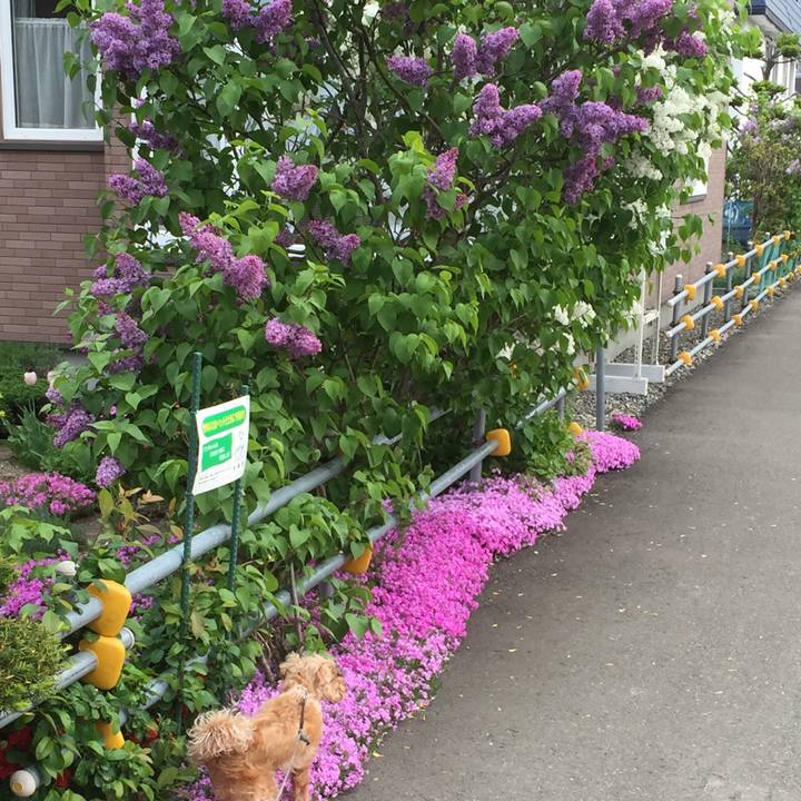 2014f075 192f 4f4e b017 c6551016d8a0