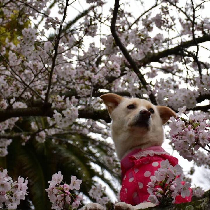 201510bc f53a 4433 82aa 87409bbdbca8