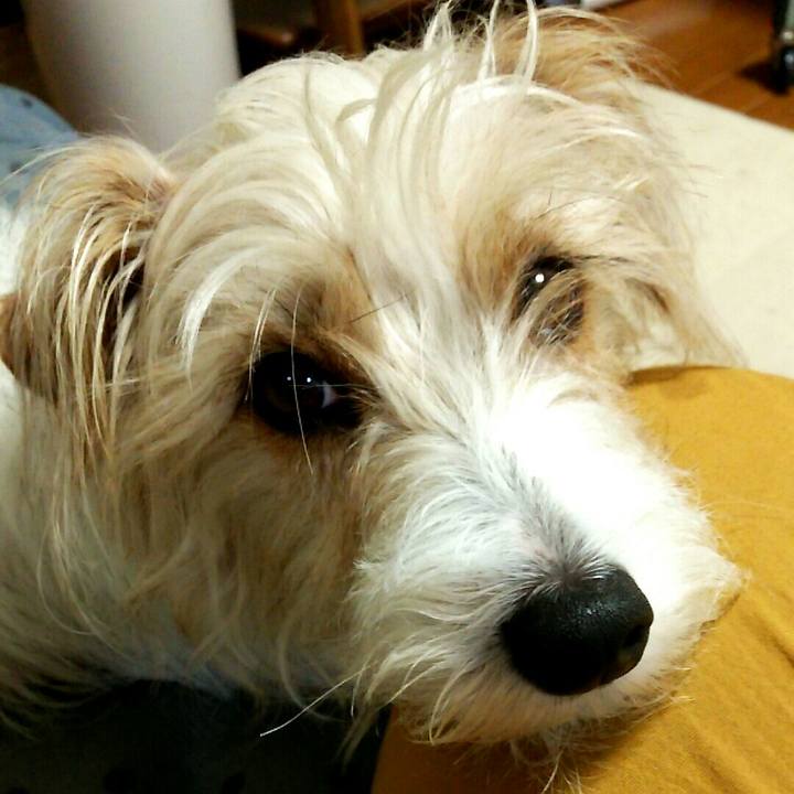 2015c68d a508 41b2 aeb7 81b86e4c5be9