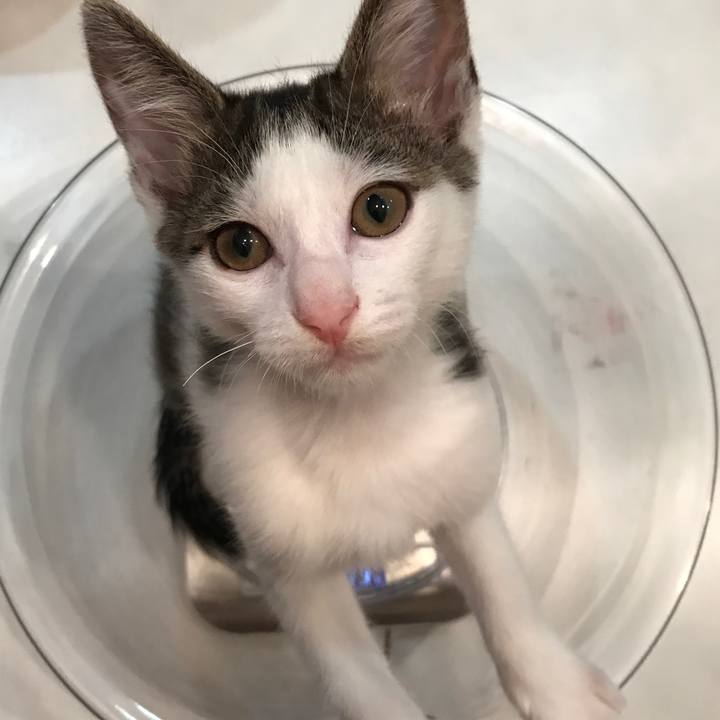 2015e803 1d3f 4c99 b743 05c7a64bf772