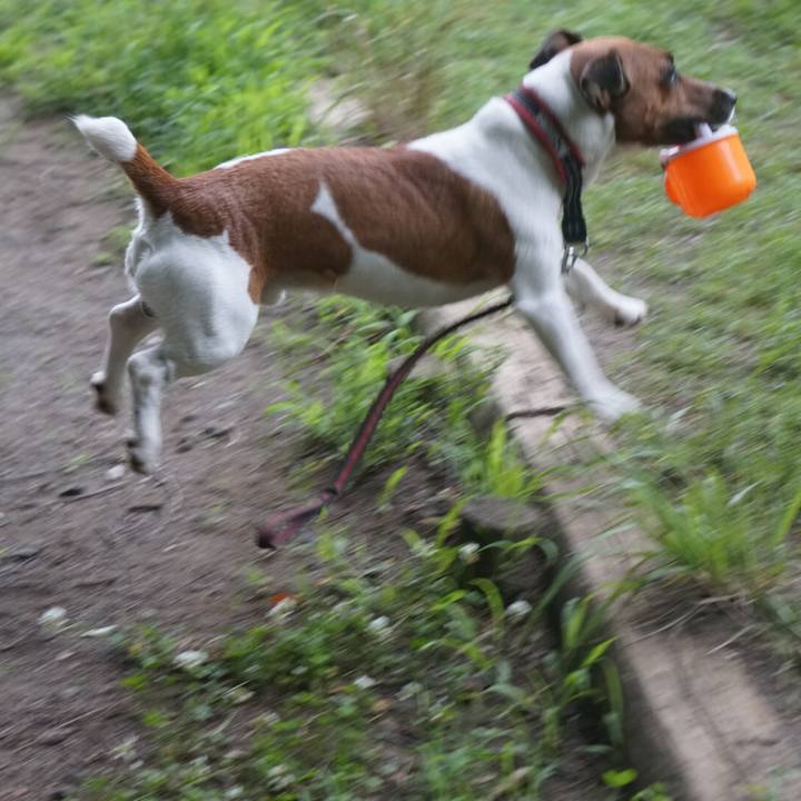 2016c5f4 dabd 44e3 8945 883991f59665