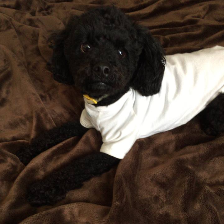 20173b17 382f 4e75 8fdb f259b32cf9b6