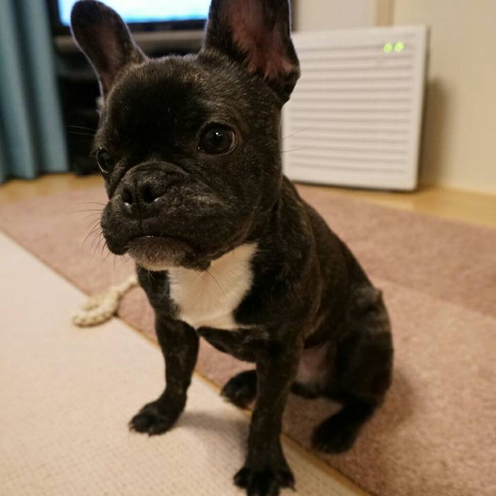 2017f129 7c80 431c 87c8 ef82591282c8