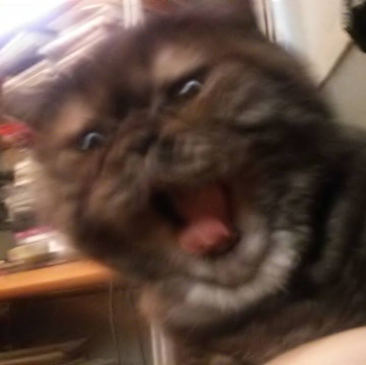 2018ae5f 1b23 4914 96a0 177537d268f5