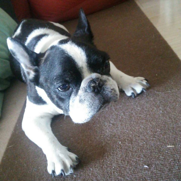 2018bbe2 7304 4c28 b196 5164f7f92b28