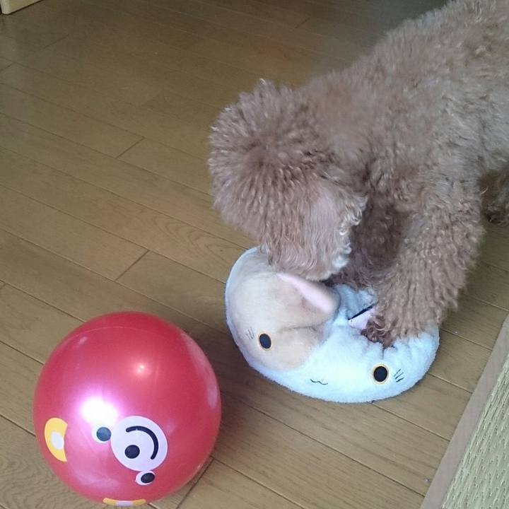 2018d144 0052 40f5 9829 fac280aea537