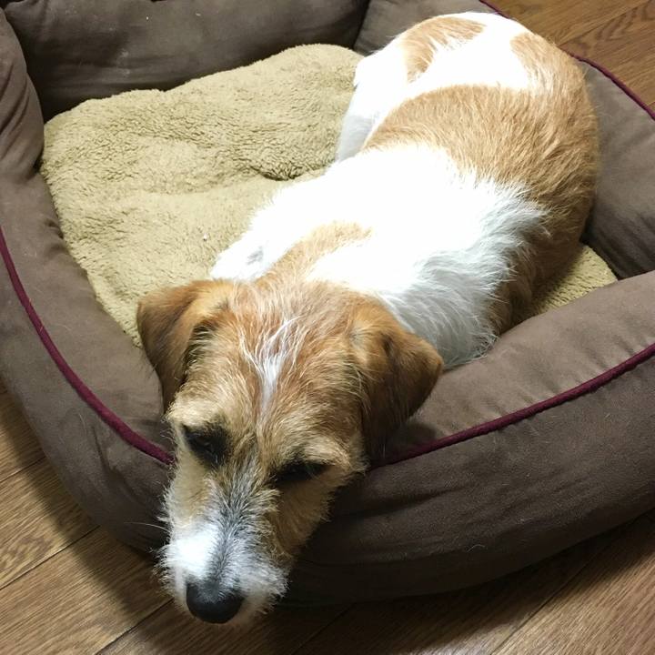 2018db64 5843 4db7 98a7 ec974a81fe3d