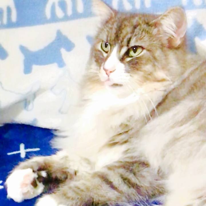 20195d55 589e 4b90 a96d 1ac4f6ddfa9c