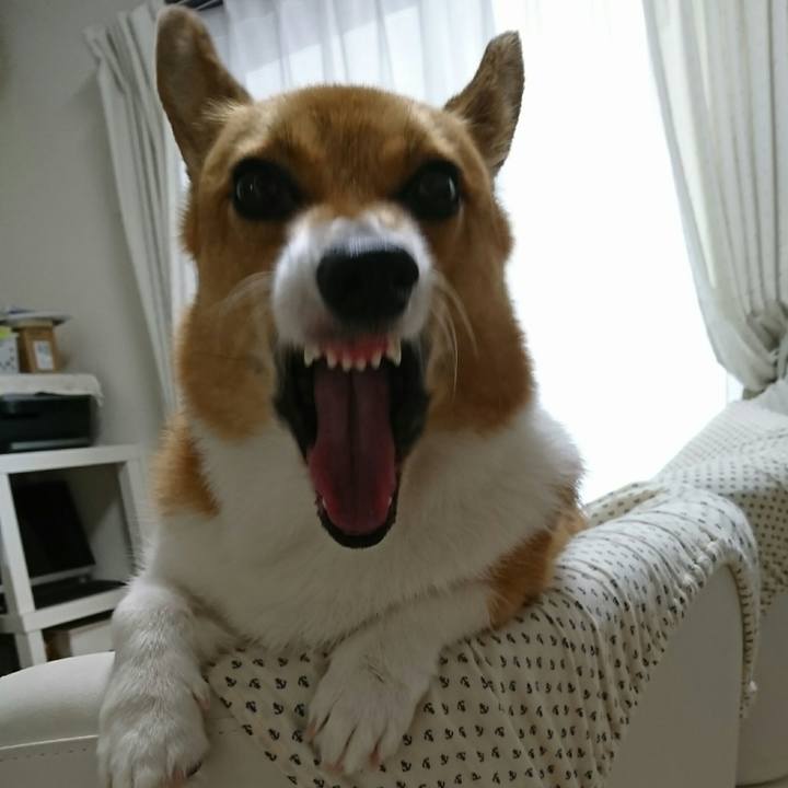 2019a648 d89b 4b52 92b3 24eb1be8cb1f