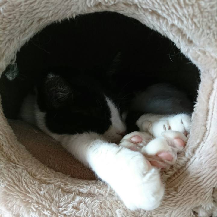 2019dc86 9f91 4a1b 998f b44d8350365f