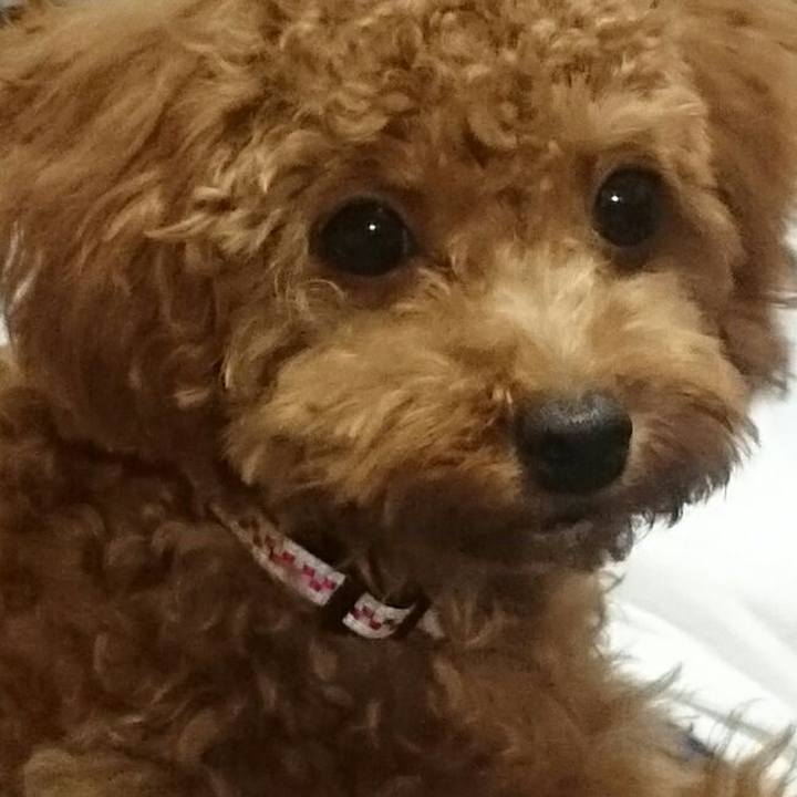 2019e9bd e53f 48aa 9620 326c4cffbd0c