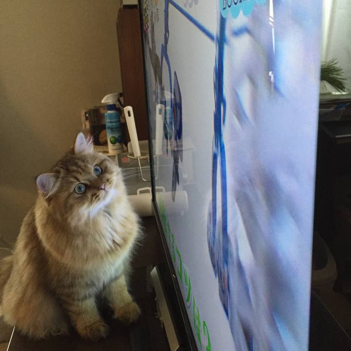 2019f5fa ae0e 4feb 88eb 39747adf153c