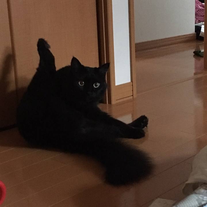 201a29a2 8bd0 431e ab53 b79eaf87d56f