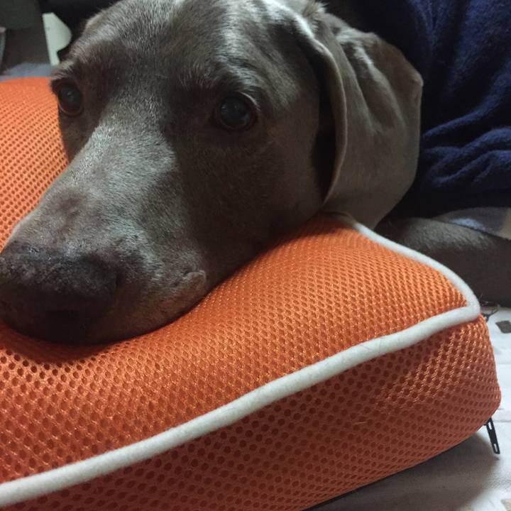 201a824a 5c0b 4b48 b583 9377f96df364