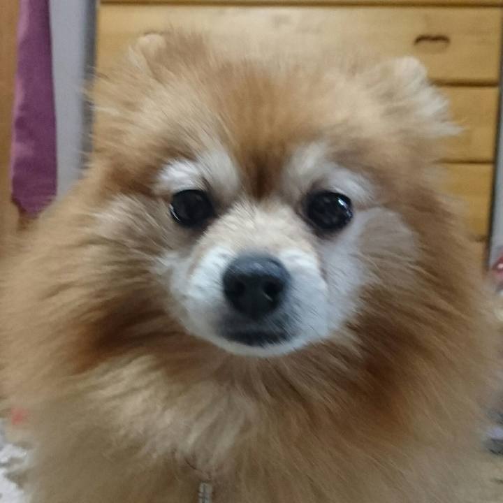 201a9d49 967f 4efe bc79 73975890a066