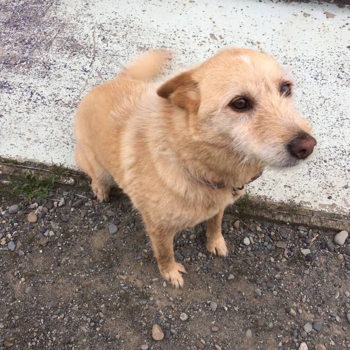 201ac0dd d9bd 4744 9805 e7d8cb134acf