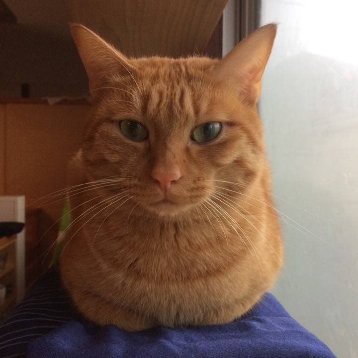 201b29e2 479f 4e3d acde af3eaa257d6e