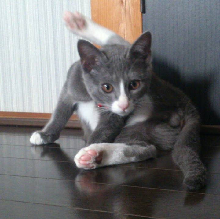 201b2a5a 722a 4af9 8461 2b6306b2a88e