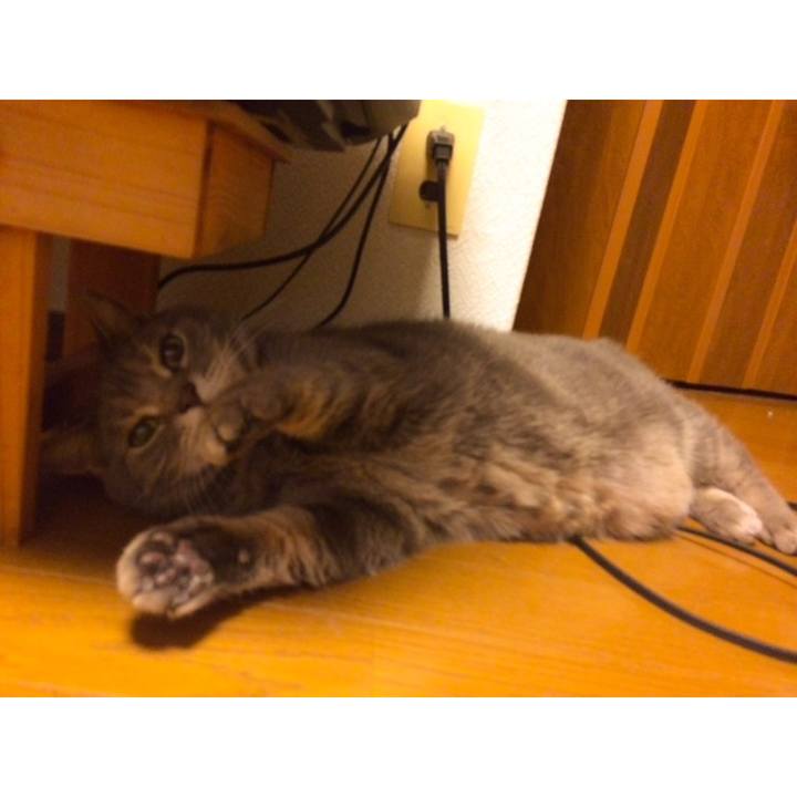 201bc727 6efe 49f0 85c5 d6ac4965f4a4