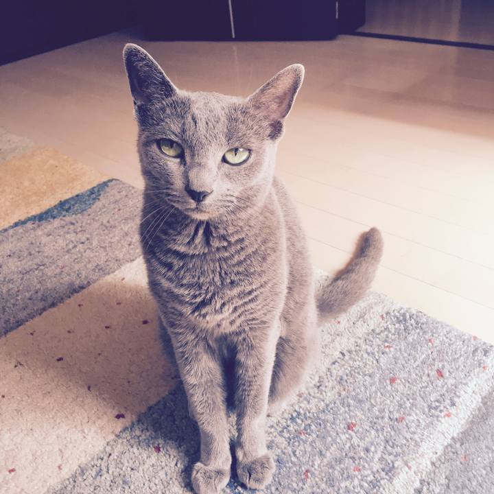 201bee63 9e71 4ab4 9d67 445b7569789b