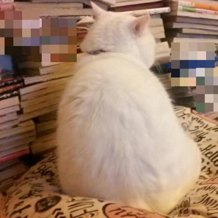 201c9fe0 1c57 4246 a396 a2a09880b942