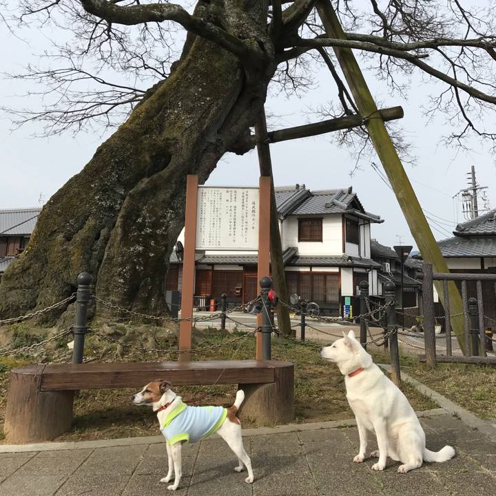 201cda0d 2afa 4c4f 8896 a54570674ebd