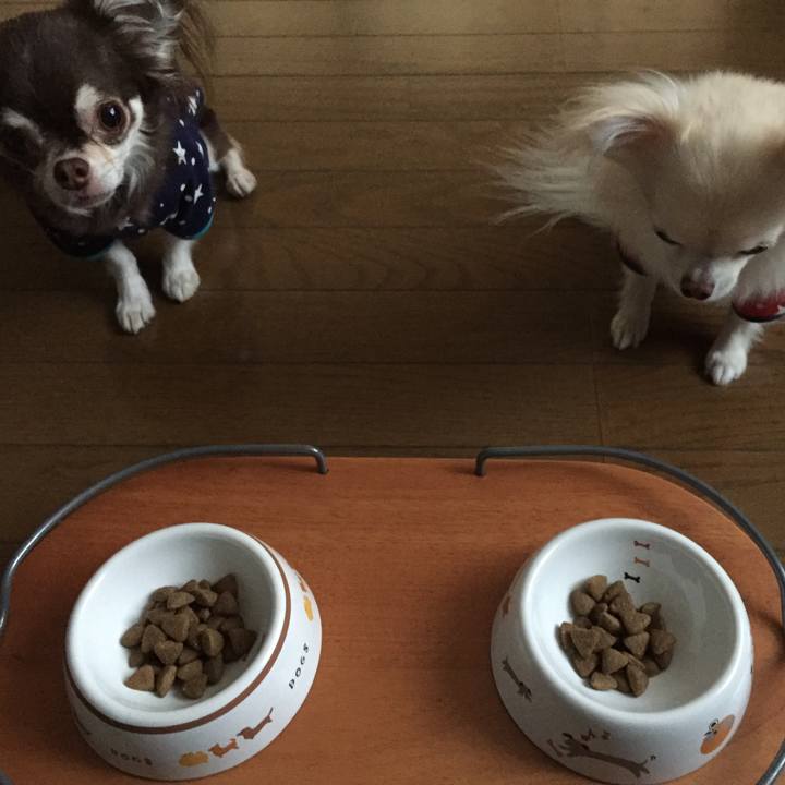 201ce70f 1884 4b71 a339 c8256a064d26