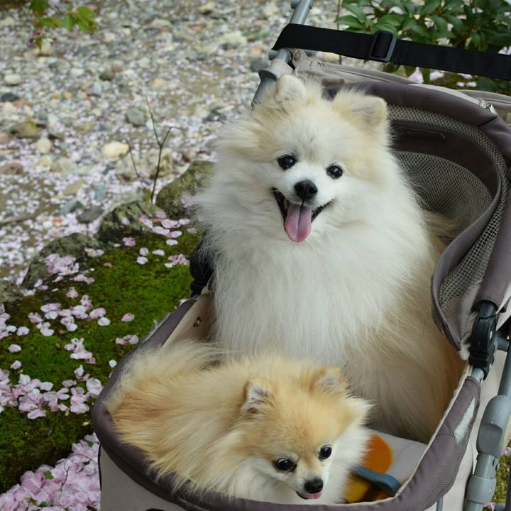 201db49c a7fc 46ab 96ad 09bed84c76aa