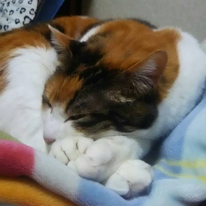 201dc4e8 ef0d 4b7e b6ba 95033a3bc94b