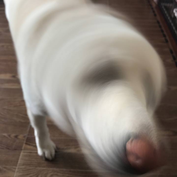 201e5c5d 188e 468c a9a0 22c303fb8085