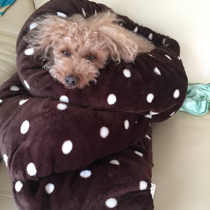 201ed5f2 c16c 4013 8d13 8f0d8dad125b