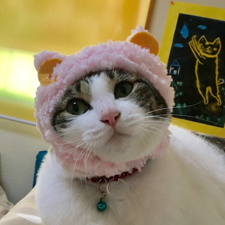 201f3f8e 82ab 4f46 afa9 a06daff2d506