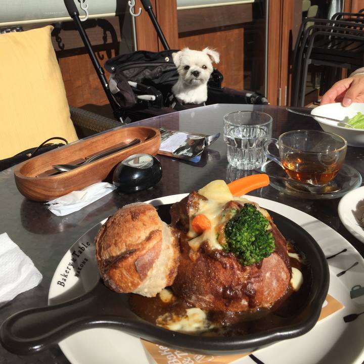 201f441f 9c2e 4bf2 98dd 5668bc72260b