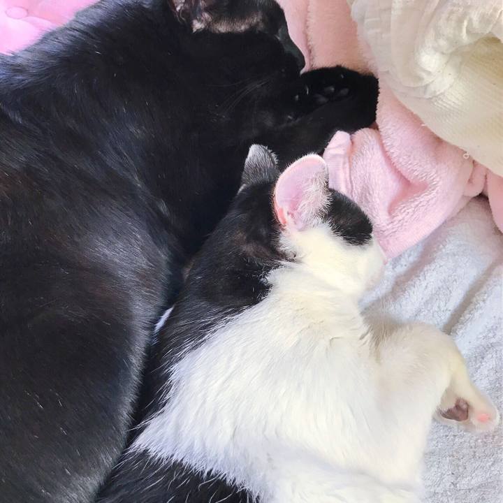 201fbf1b e030 4e62 b214 6891b63bd8e1