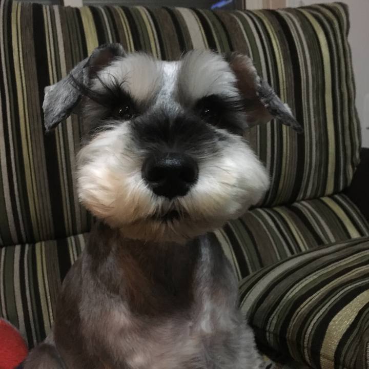 20202c11 6288 4de8 8ff7 b72228bd1101