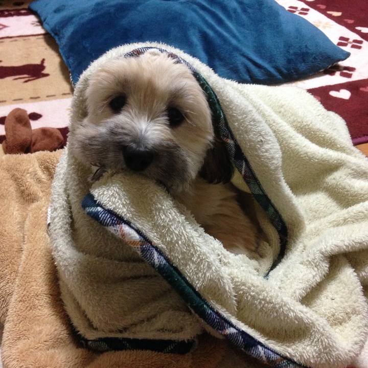 20215fe6 e351 470e 9530 90c413509cda