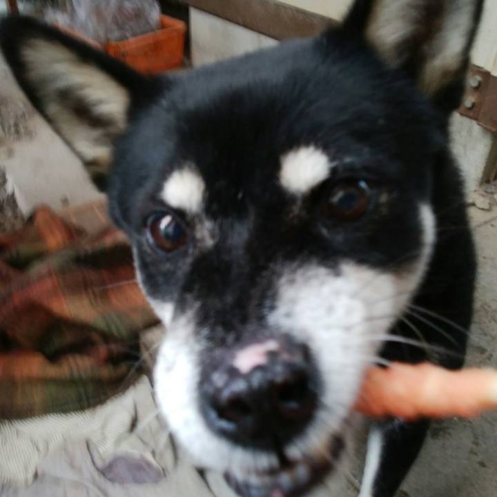 2021ea81 b026 4352 9c29 15753ff9f6ef