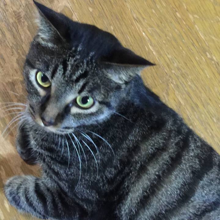 202274b9 684b 47ef 9653 5aff9538c584