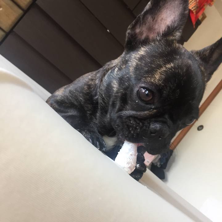 202359b3 6f94 4781 b05a 4200c8f35b2c