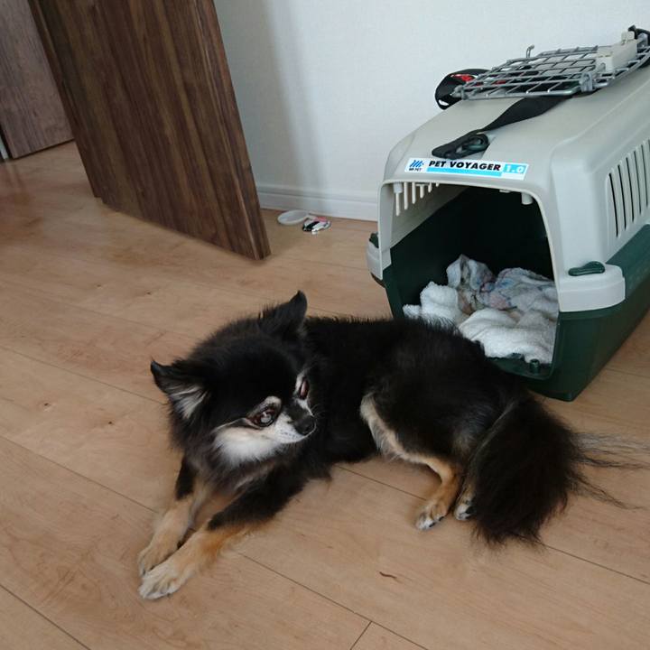 2023b78a 787a 46c8 9763 778a980e7561