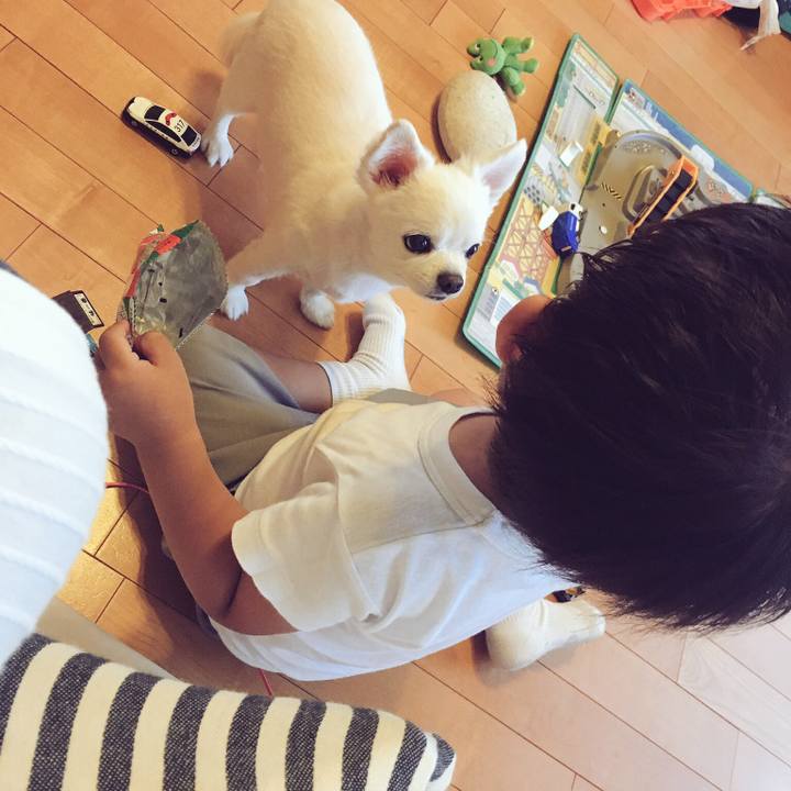 2023c165 a3ae 4d6a a66b aefb5f1f7648