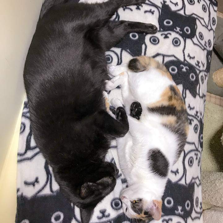 2023d7a9 7b75 4004 941a 1fa1565b7456