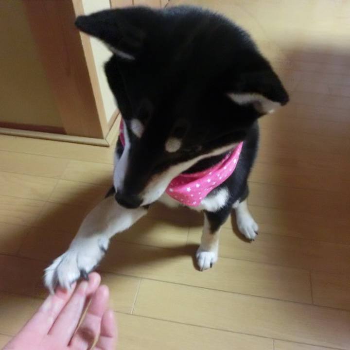 202416ee 2022 4267 8aa2 65b7db7877c2