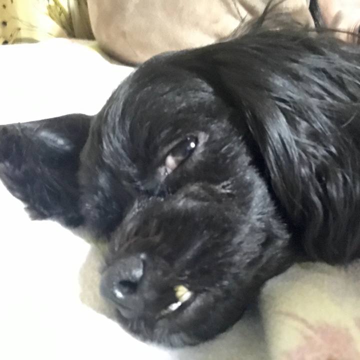 2024c1af c5a9 4d50 8fa6 da3fca63aaf8