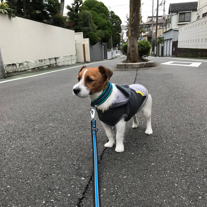 2025148c 49ae 4ea4 a230 ce40a35a0491