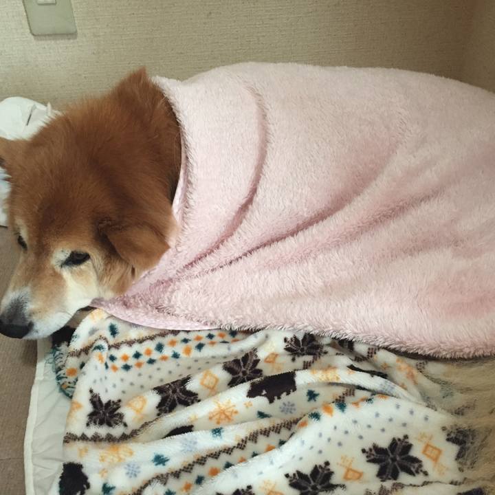 20254488 f52d 421f 94e9 093700db752e